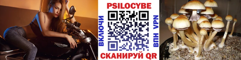 Псилоцибиновые грибы прущие грибы  закладки  Жирновск 